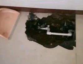 丹棱卫生间测漏水多少钱